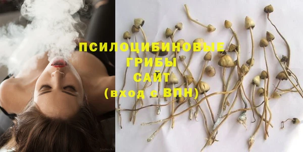 мяу мяу кристалл Бородино