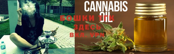 прущие грибы Новозыбков