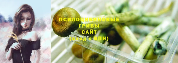 МДПВ Новокубанск
