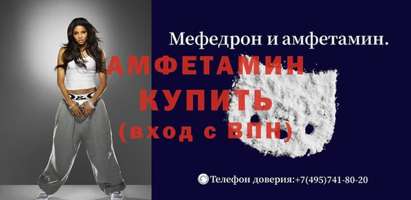 прущие грибы Новозыбков