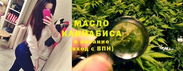 прущие грибы Новозыбков