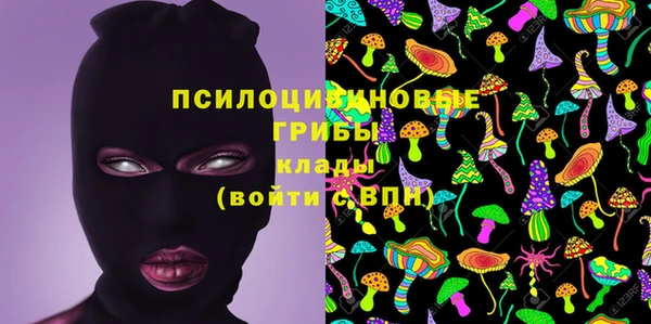 гидра Тольятти