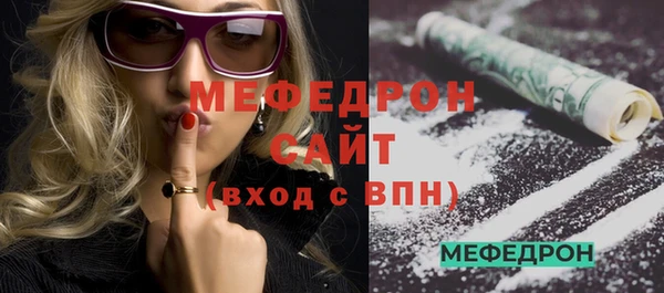 прущие грибы Новозыбков