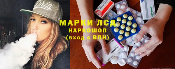 прущие грибы Новозыбков
