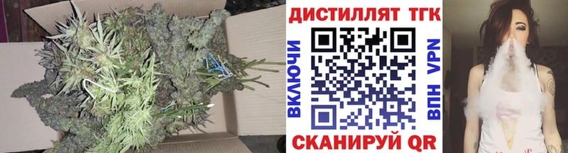 где найти   Куровское  Дистиллят ТГК концентрат 