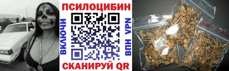 Галлюциногенные грибы MAGIC MUSHROOMS  Куровское 