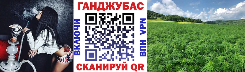 Бошки марихуана план  купить закладку  Куровское 
